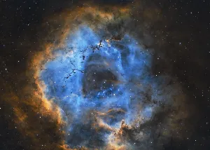 عدسة عمانية